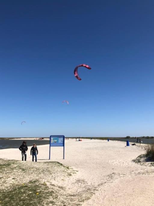 Villa Gezellige Pipo Met Grote Schommel Aan Het Water Medemblik Exterior foto